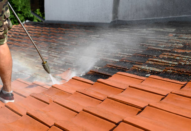 Best Roof Power Washing Services  in Rodeo, CA