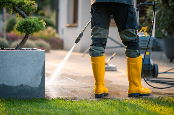 Best Roof Pressure Washing  in Rodeo, CA